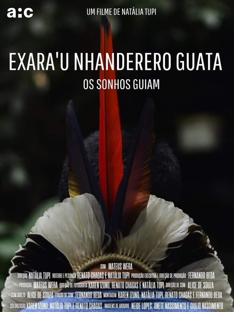 Poster of Os Sonhos Guiam