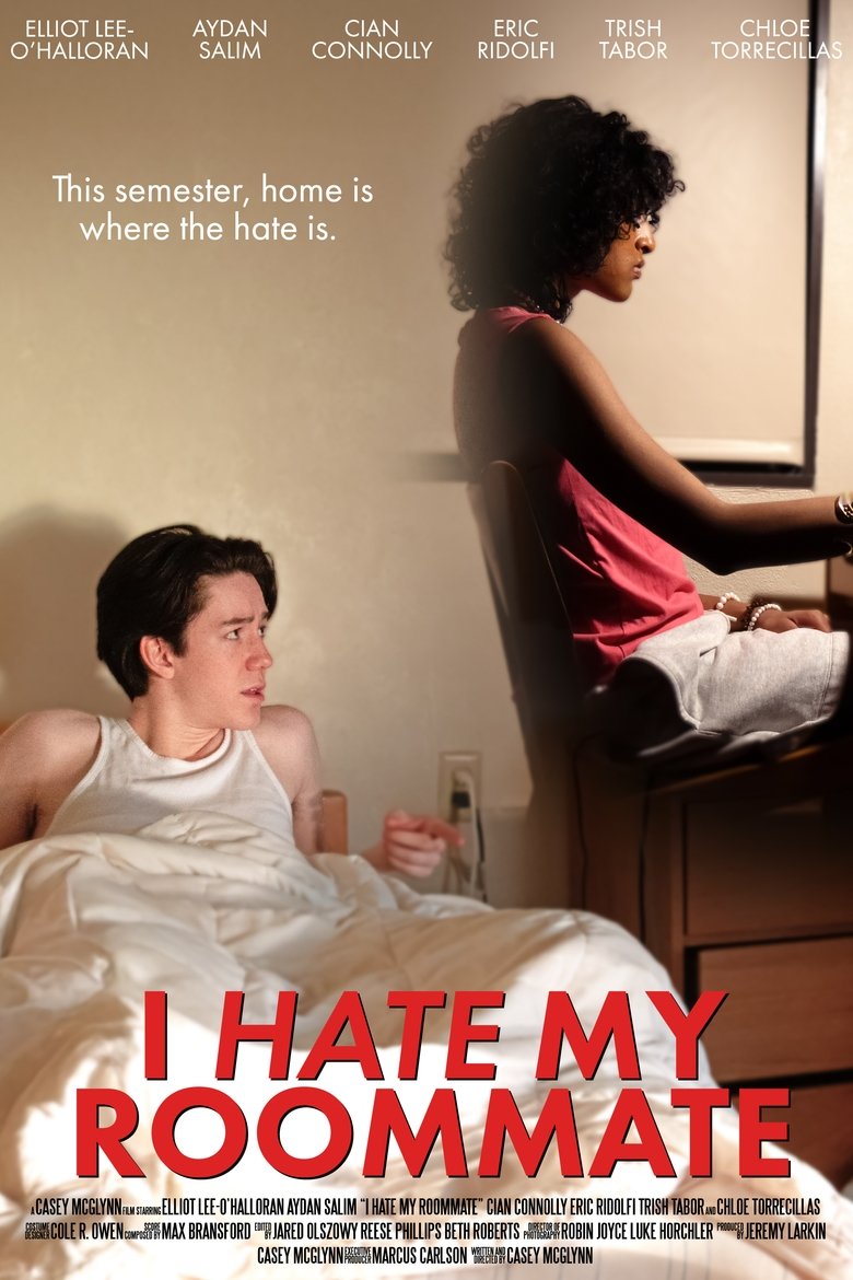Poster of I Hate My Roommate