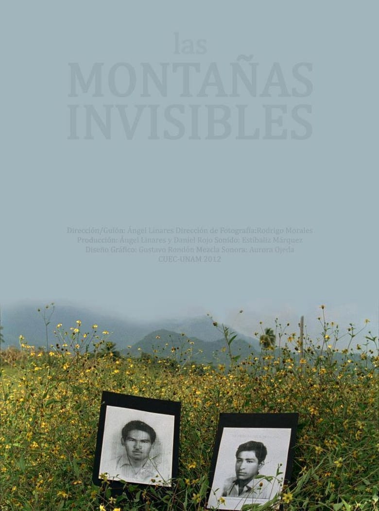 Poster of The Invisible Mountains