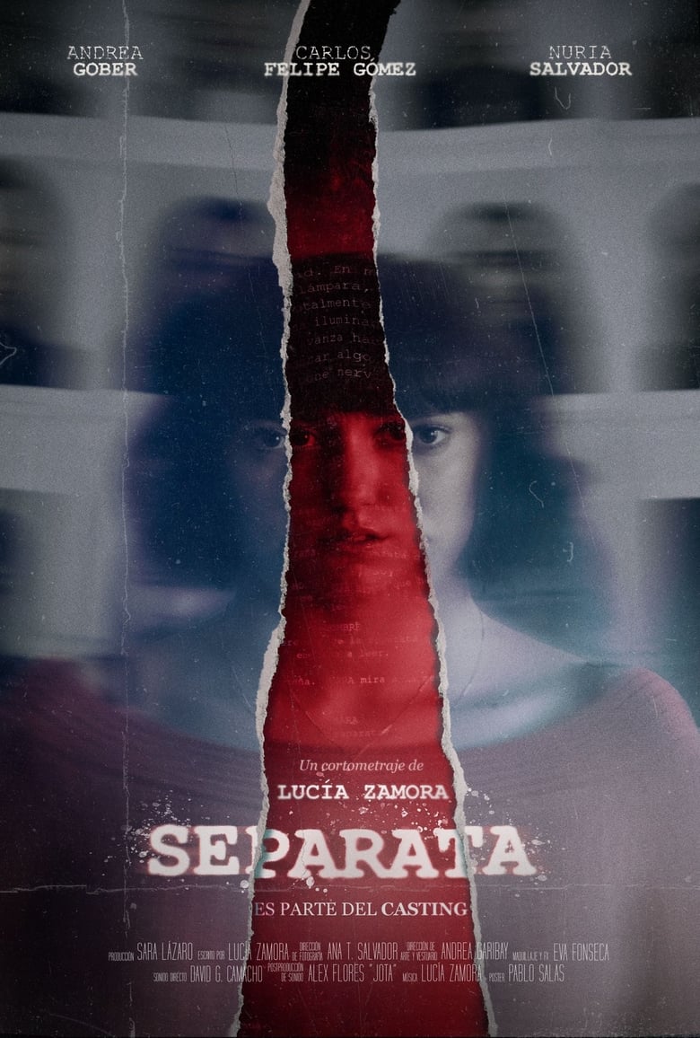 Poster of Separata