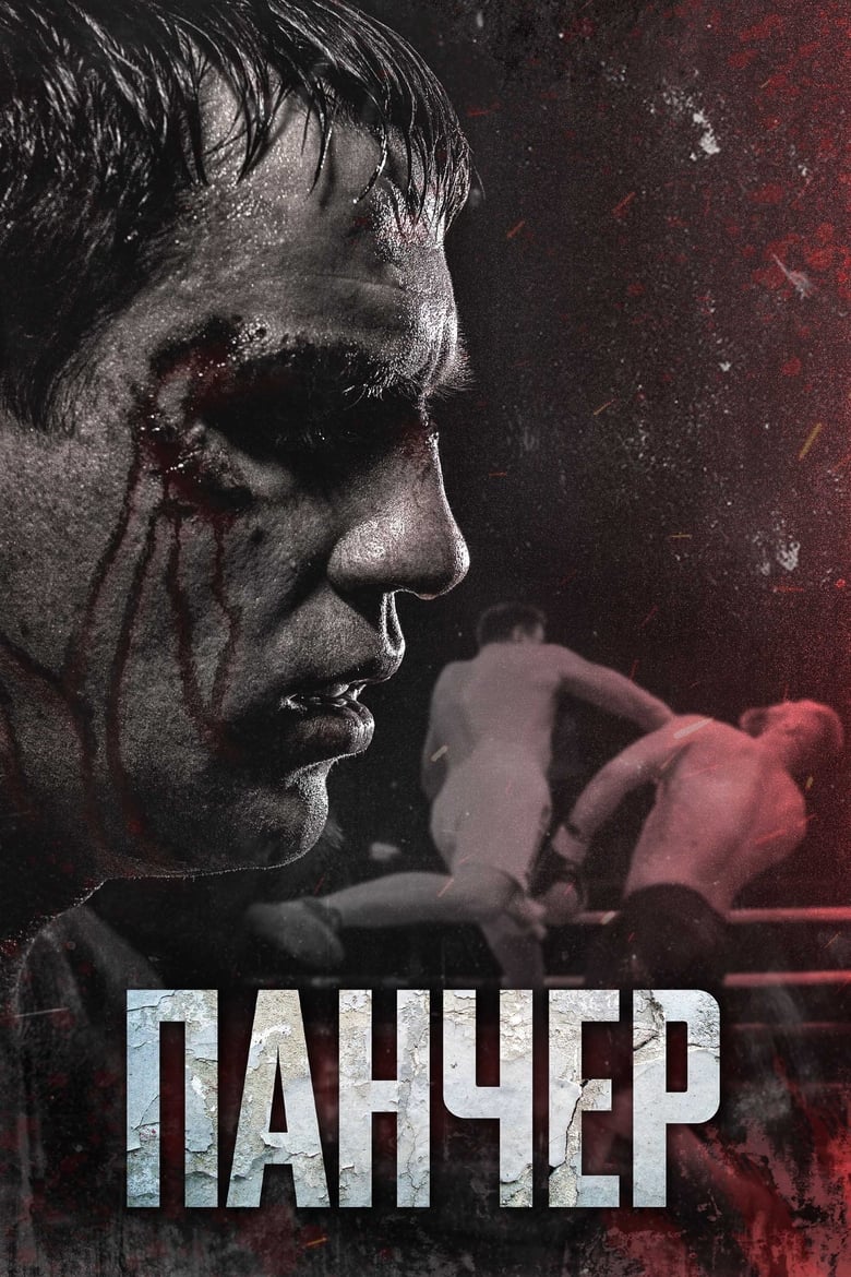 Poster of Puncher