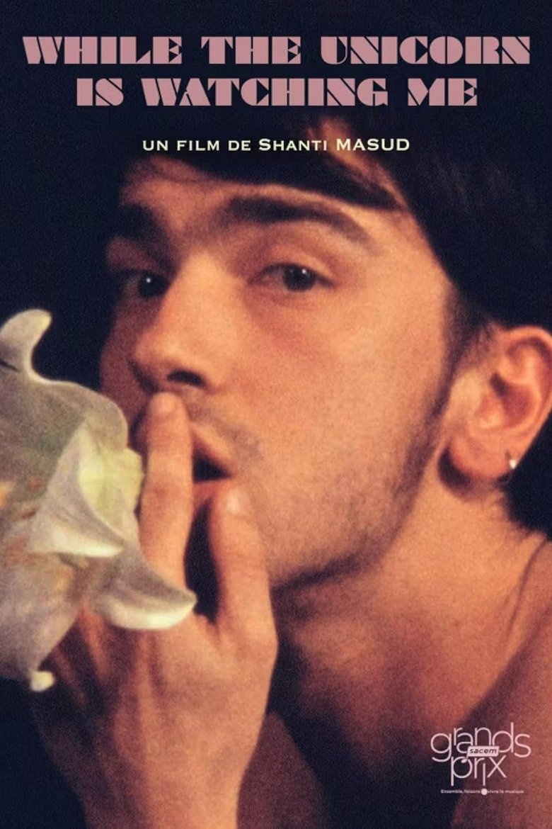 Poster of While the Unicorn Is Watching Me