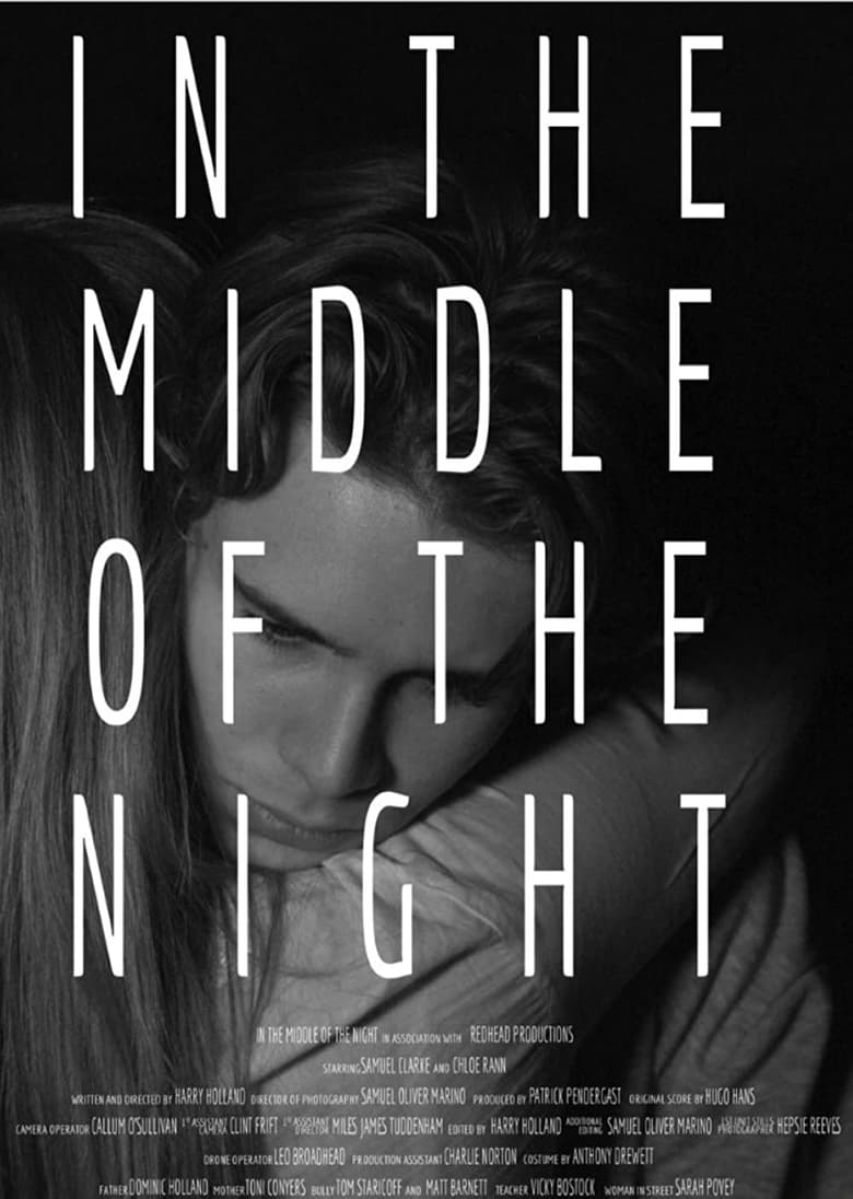 Poster of In the Middle of the Night