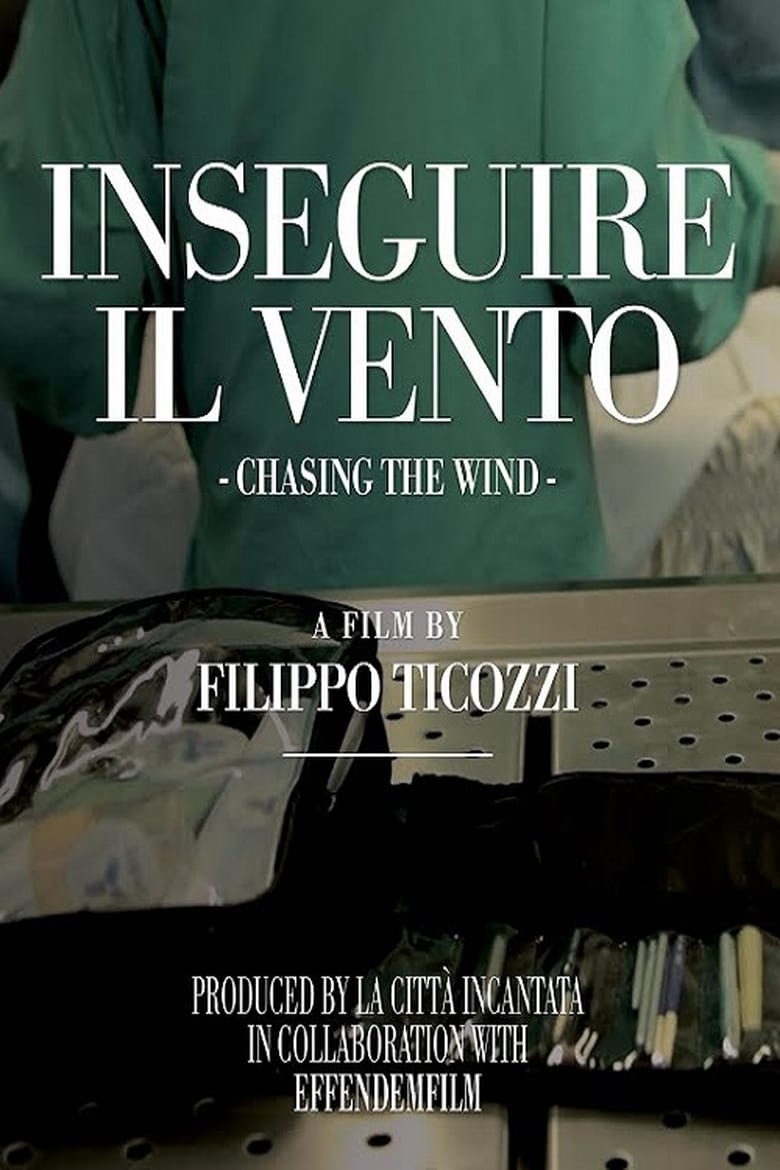 Poster of Chasing The Wind