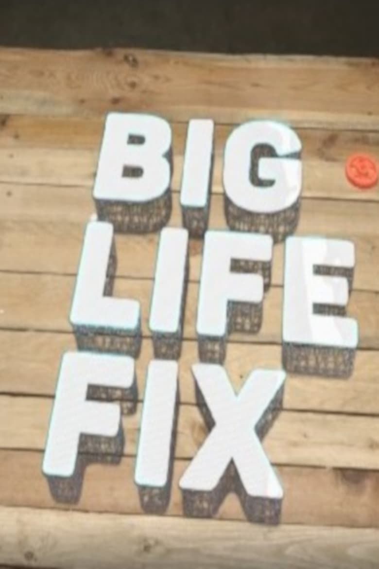 Poster of Big Life Fix