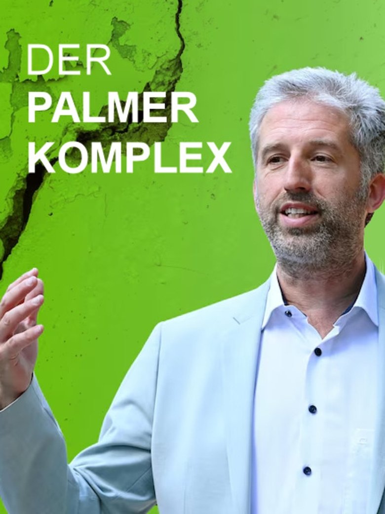 Poster of Der Palmer Komplex