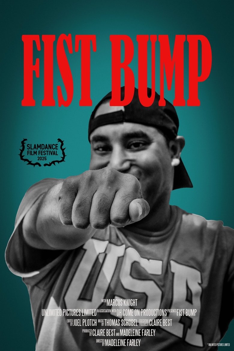 Poster of Fist Bump