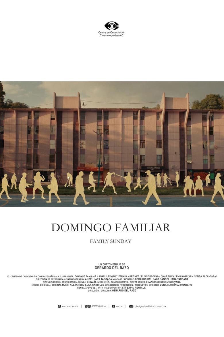 Poster of Domingo Familiar