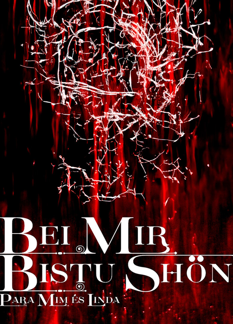 Poster of BEI MIR BISTU SHON: PARA MIM ES LINDA