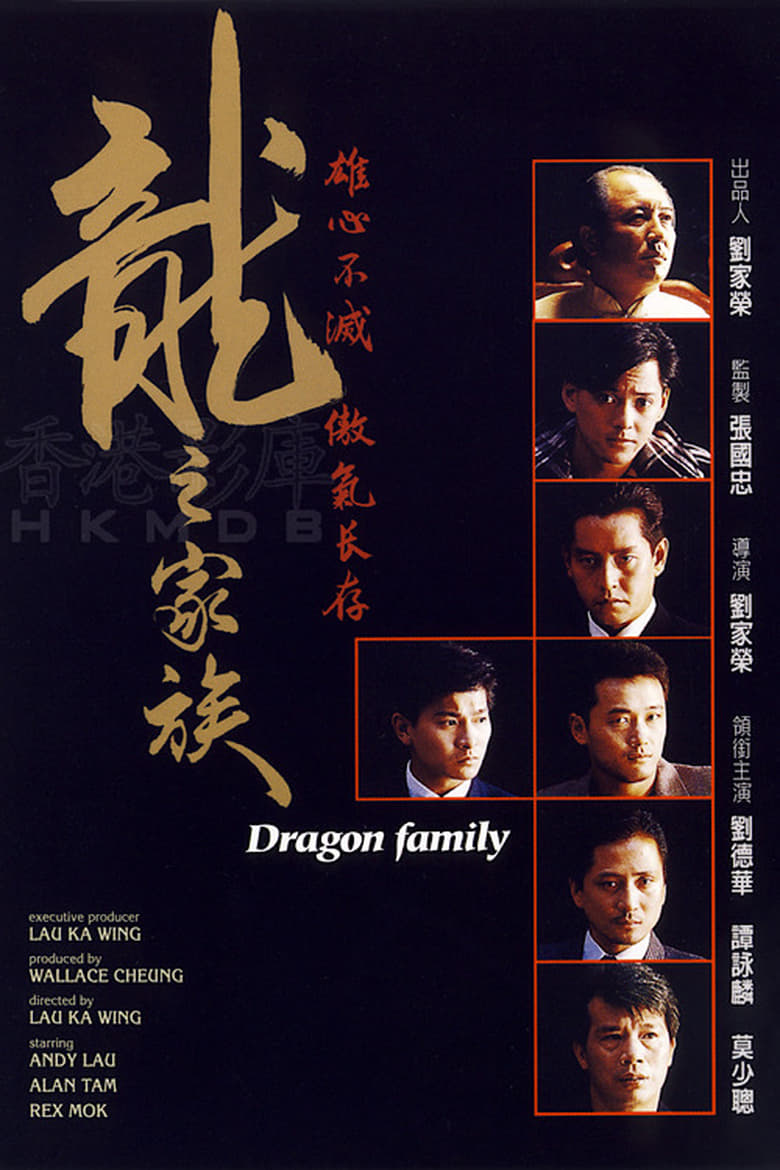 Poster of The Dragon Family