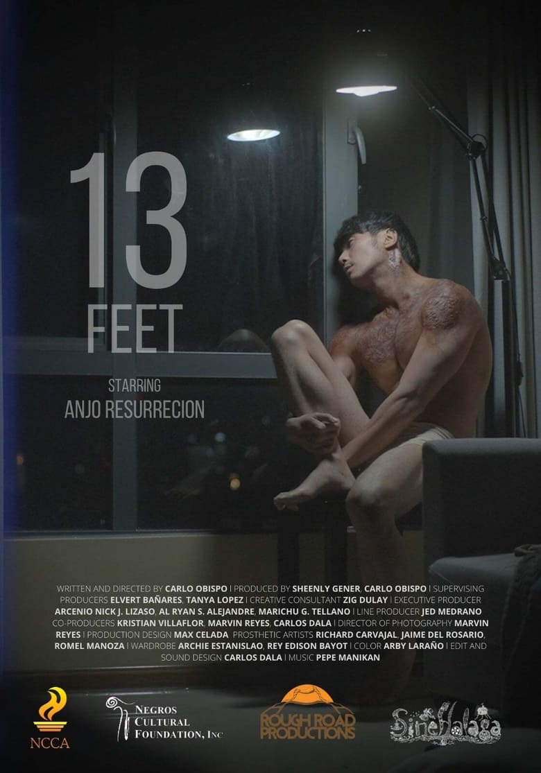 Poster of 13 Feet