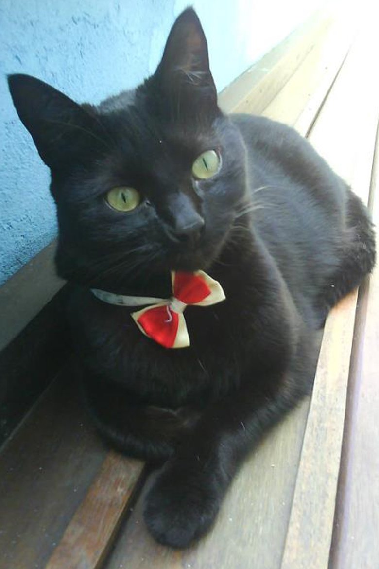 Portrait of Mini Mulamba