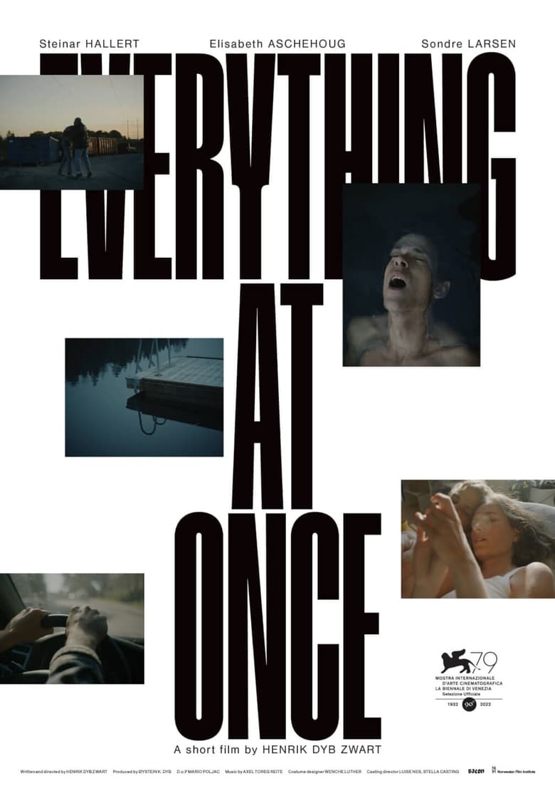 Poster of Everything at Once