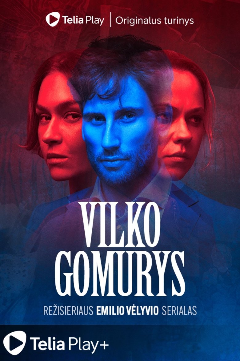Poster of Vilko gomurys