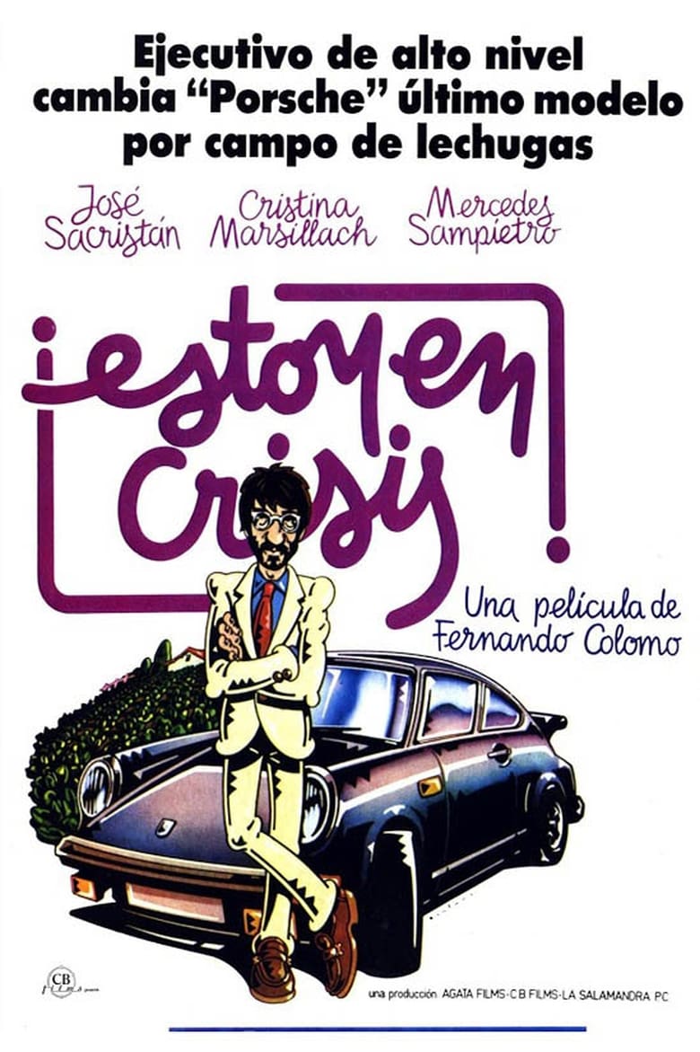 Poster of Estoy en crisis