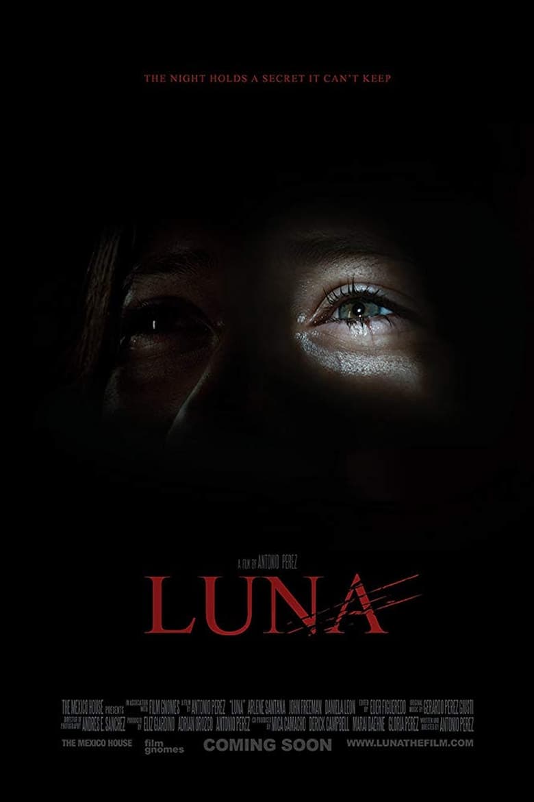 Poster of Luna