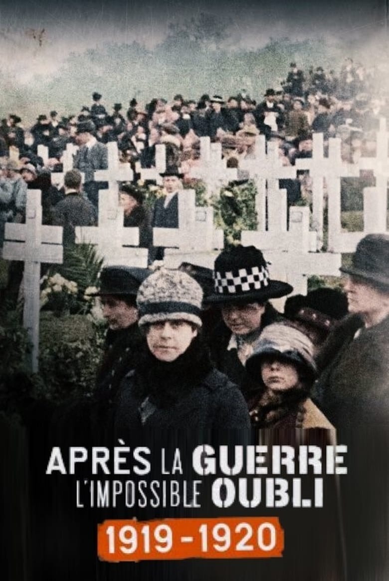 Poster of Après la guerre, l'impossible oubli (1919-1920)