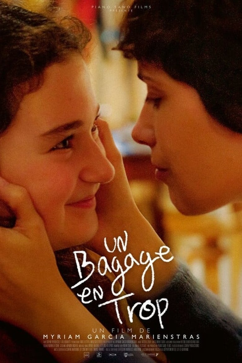 Poster of An Excess Baggage