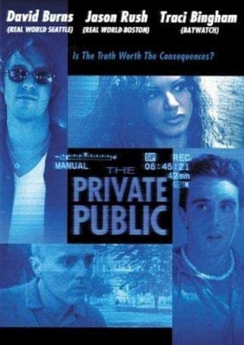 Poster of The Private Public