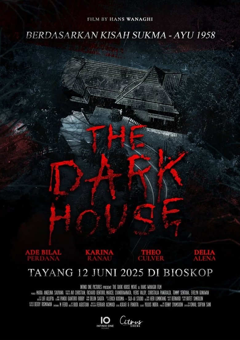 Poster of The Dark House