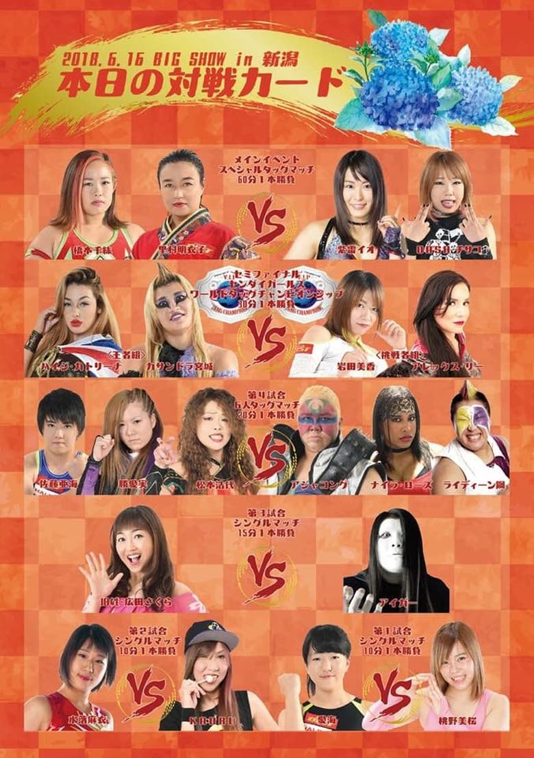 Poster of Sendai Girls Joshi Puroresu Big Show 2018 In Niigata