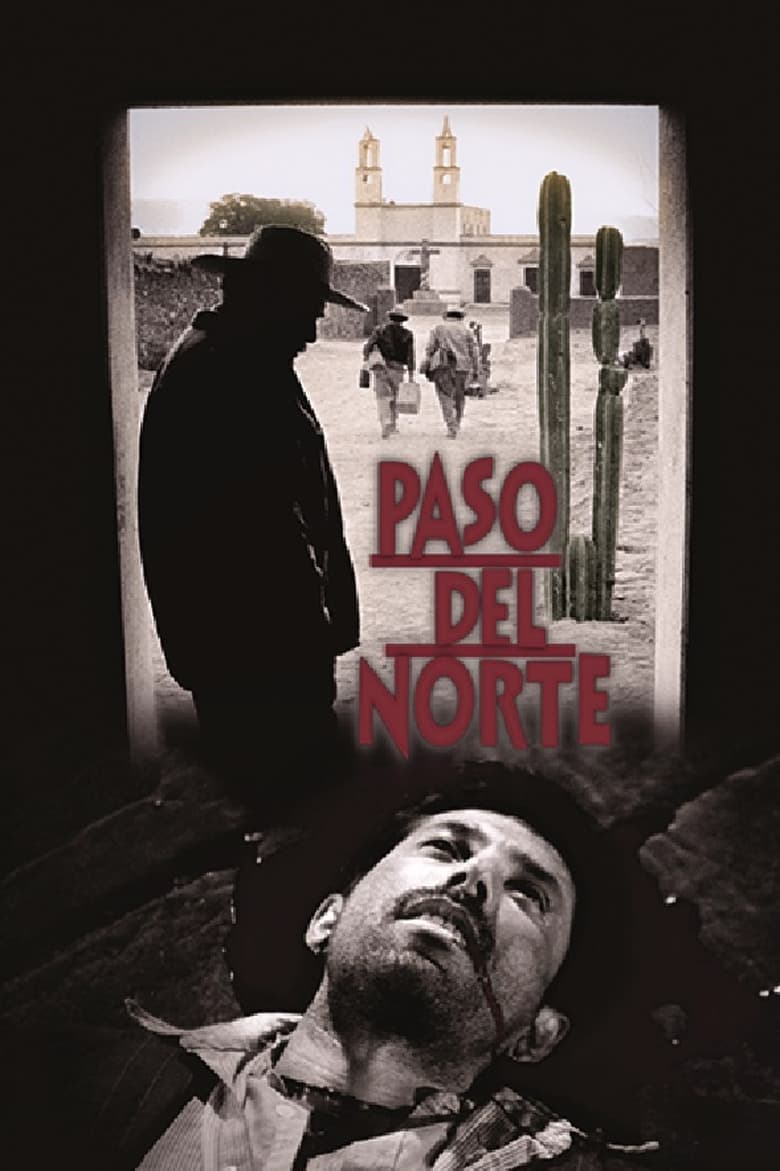 Poster of Paso del norte