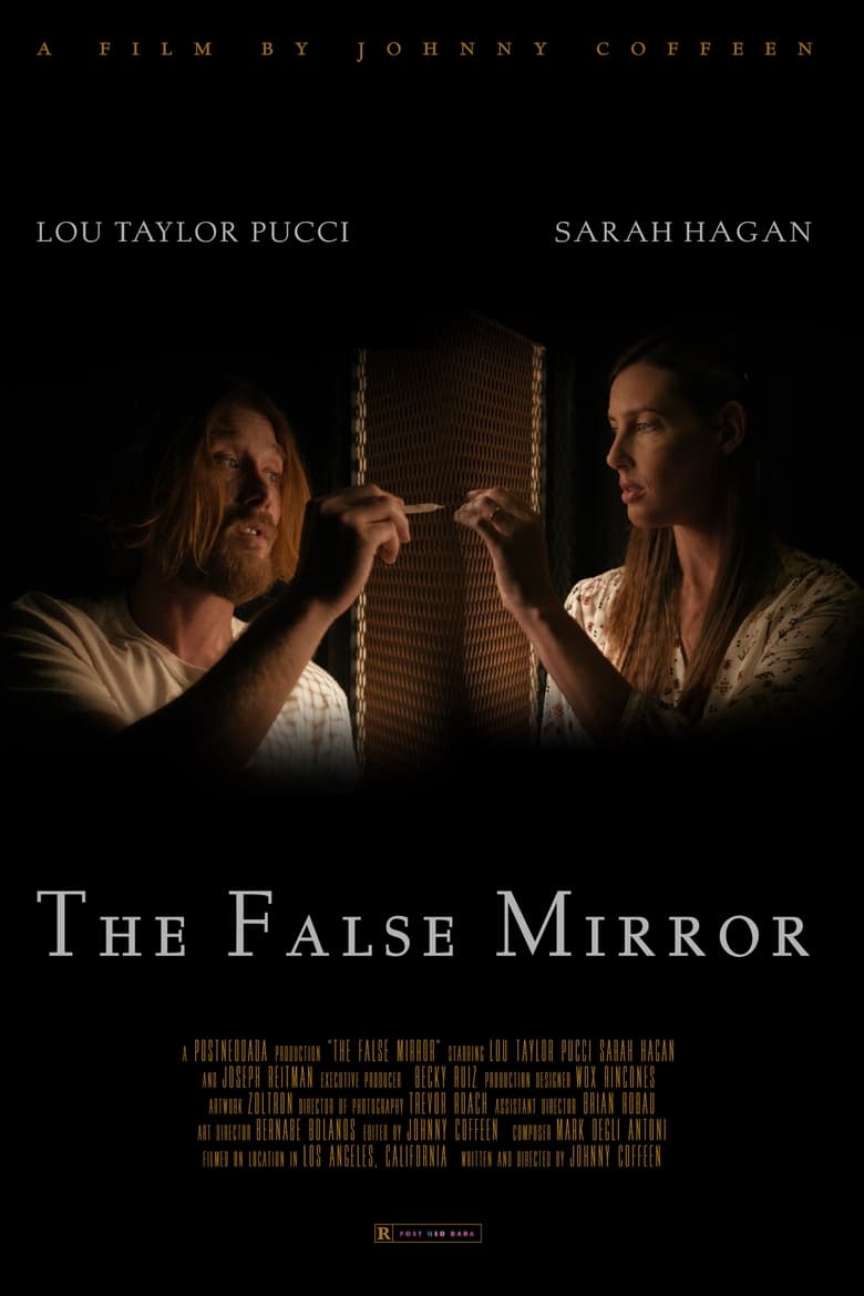 Poster of The False Mirror