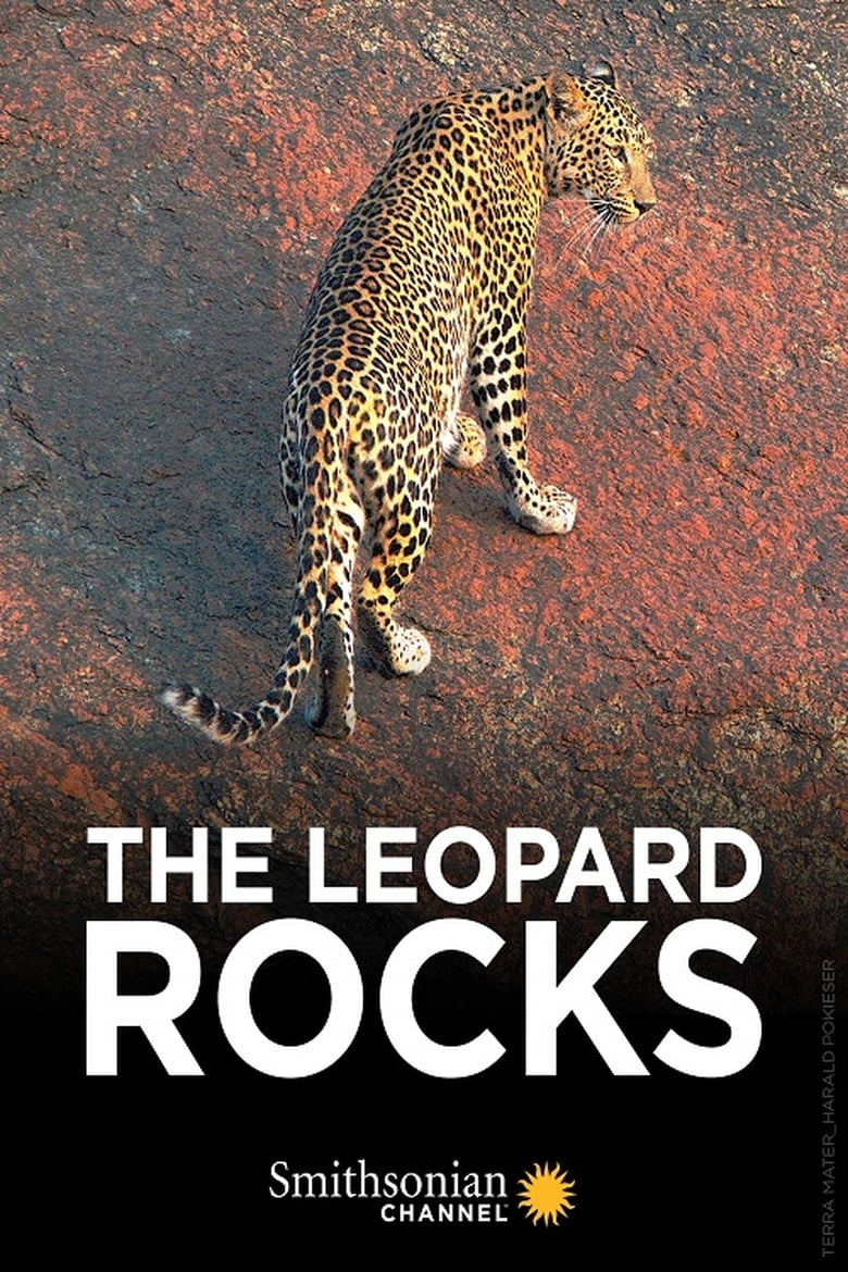 Poster of The Leopard Rocks