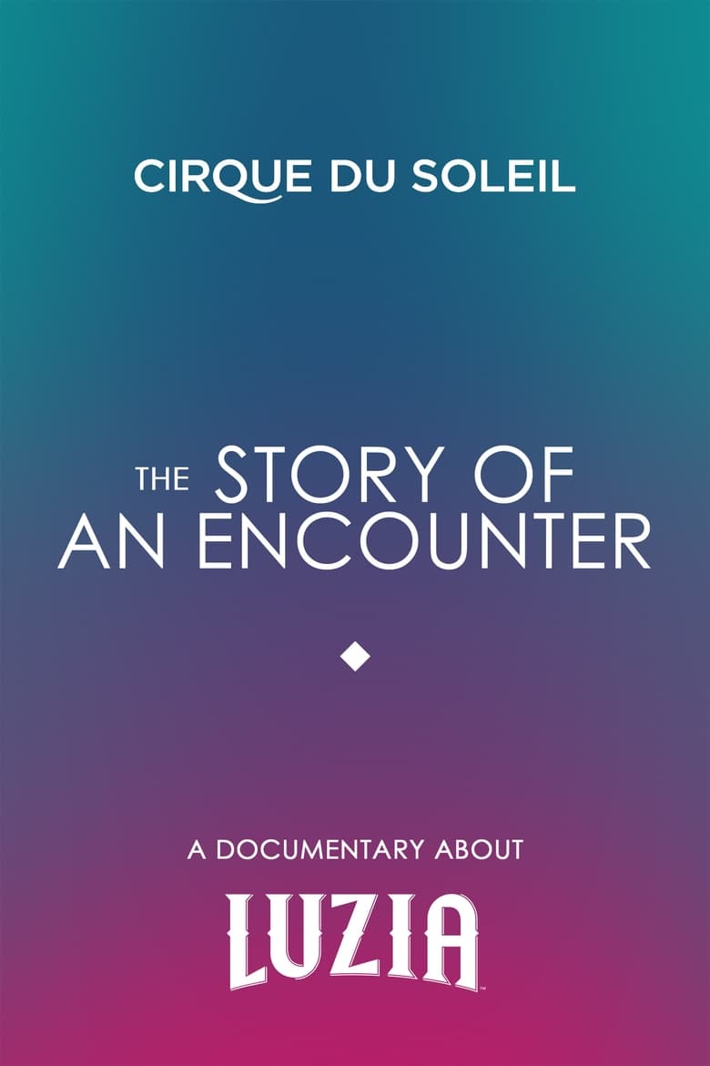 Poster of The Story Of An Encounter