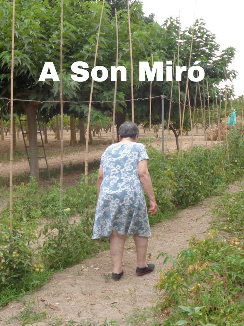 Poster of A Son Miró