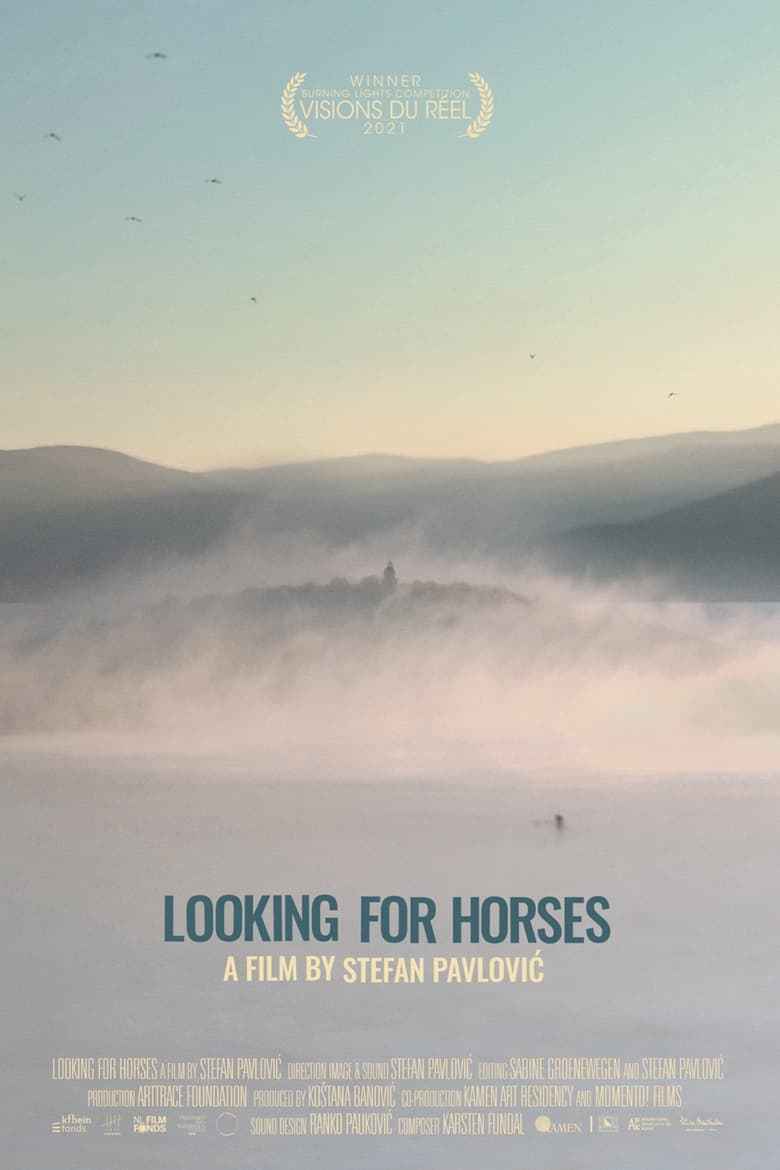 Poster of Looking for Horses