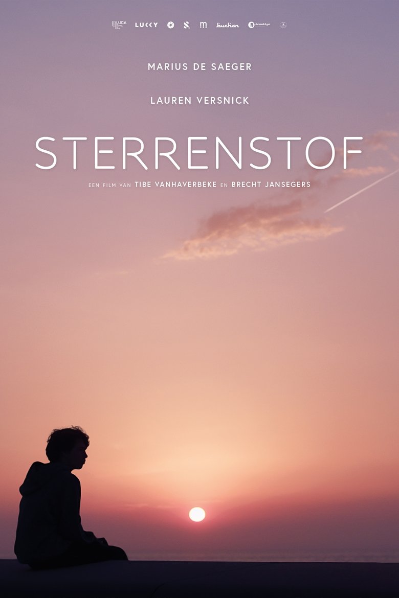 Poster of Stardust