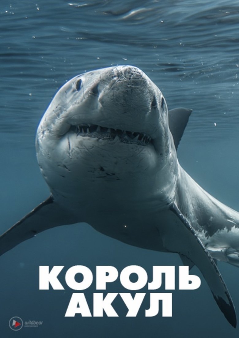 Poster of Boss Shark