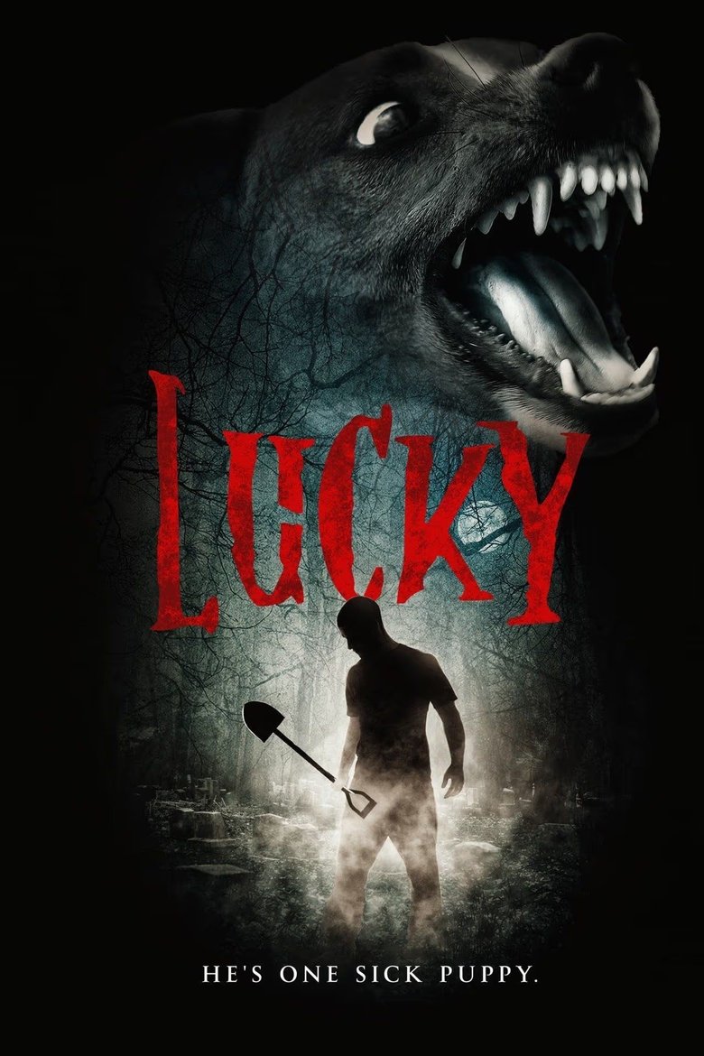 Poster of Lucky