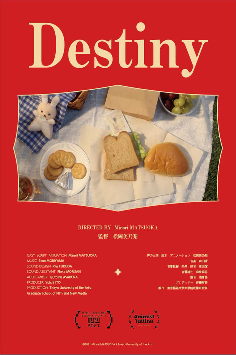 Poster of Destiny