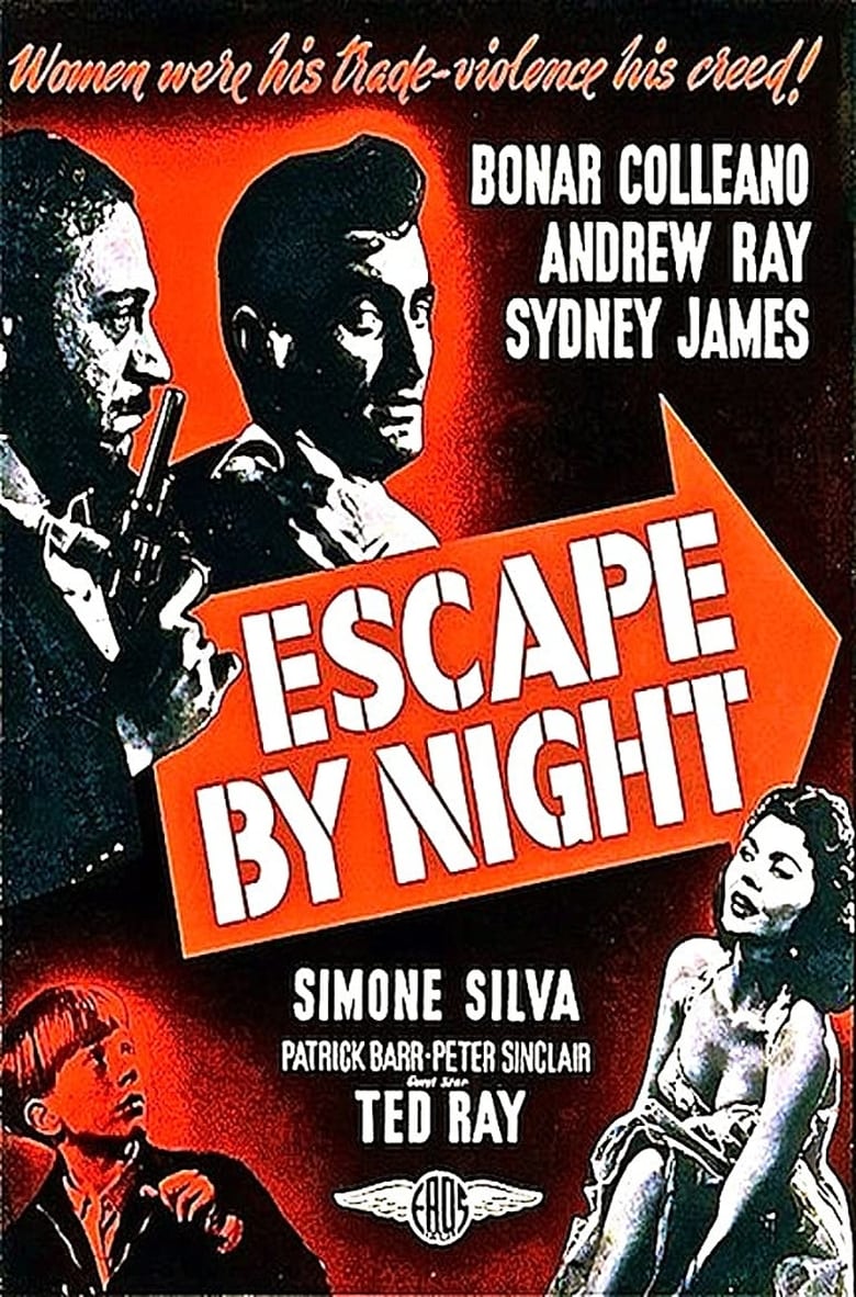 Poster of Escape by Night