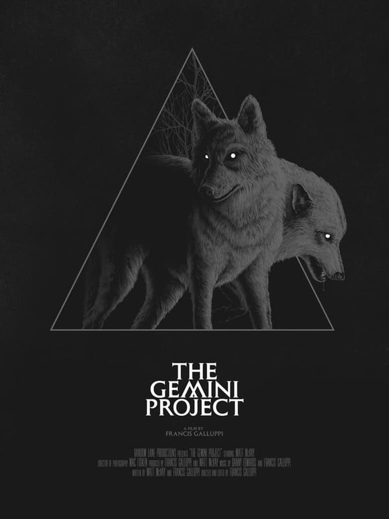 Poster of The Gemini Project