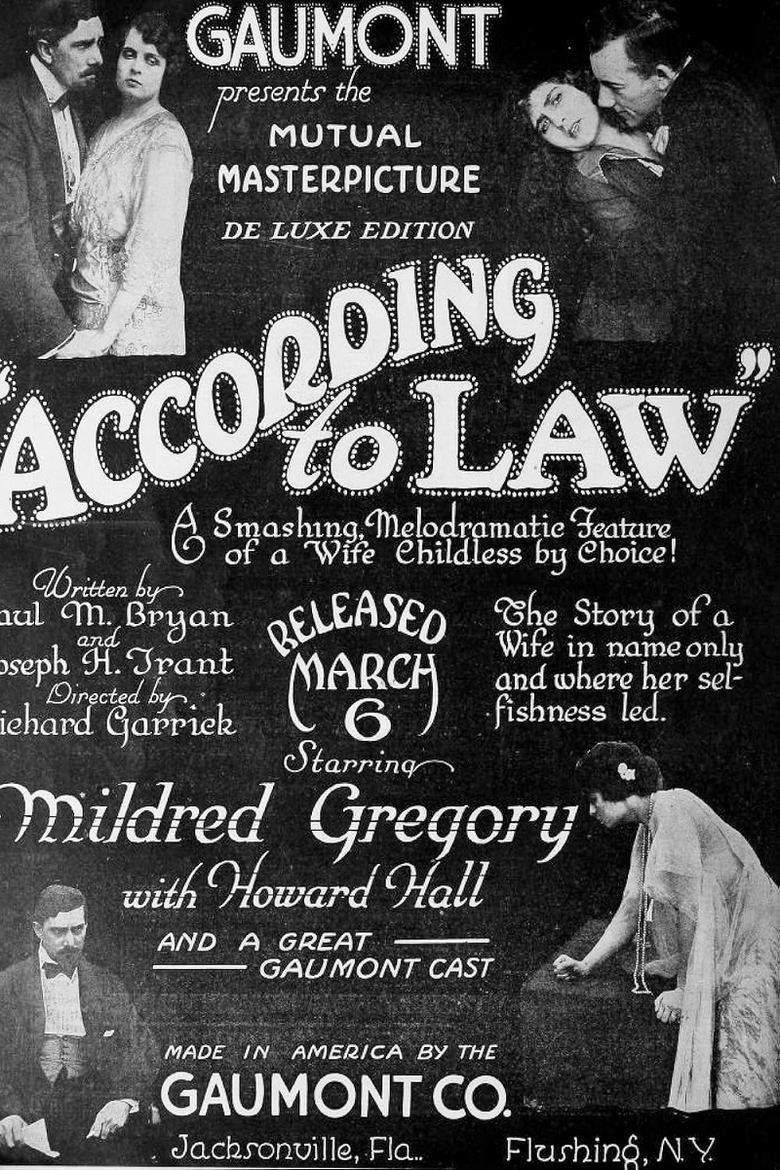 Poster of According to Law