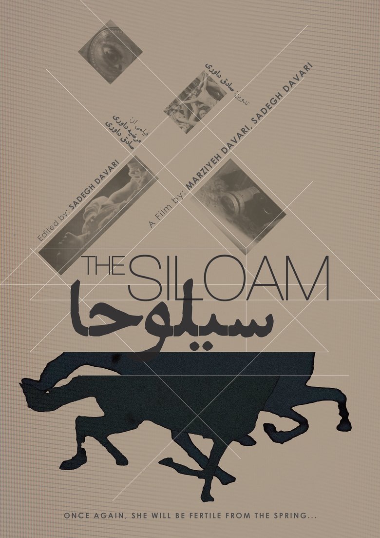 Poster of The Siloam