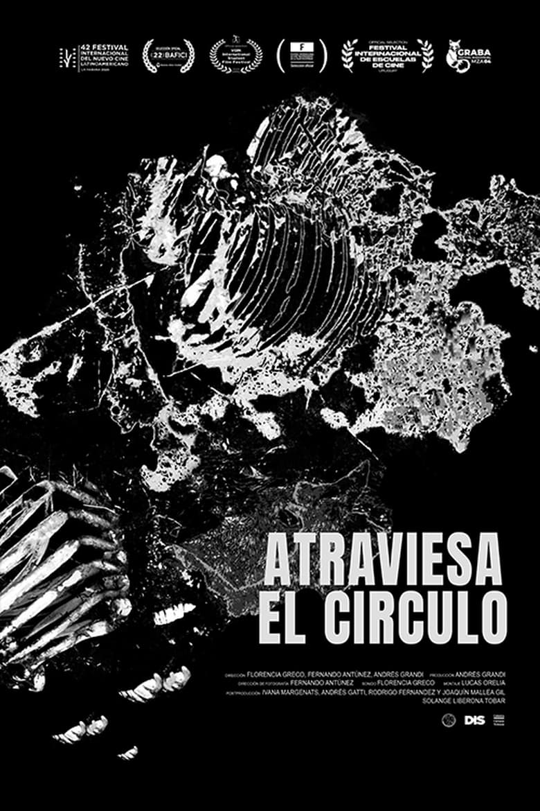 Poster of Atraviesa el Círculo