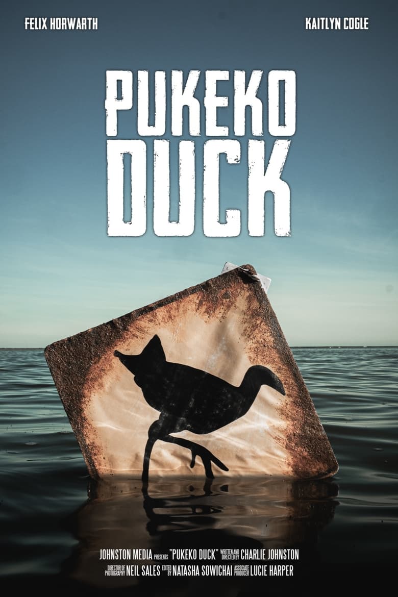 Poster of Pukeko Duck