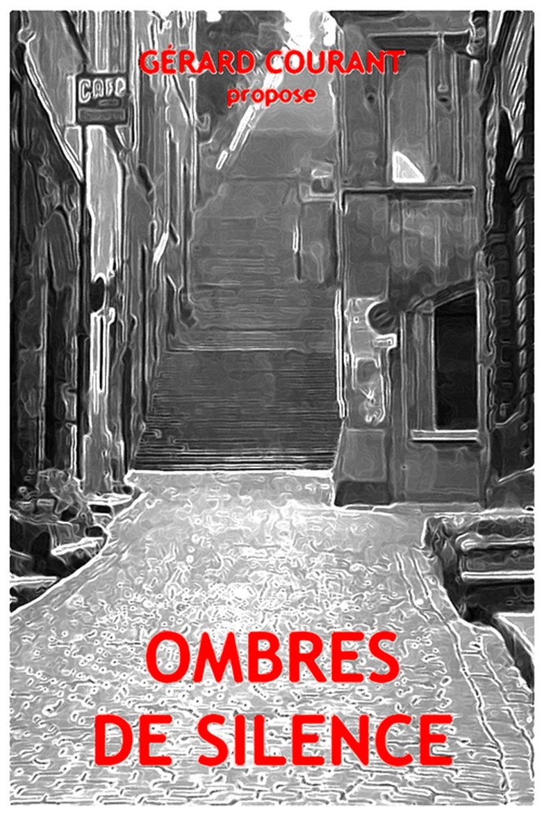 Poster of Ombres de silence