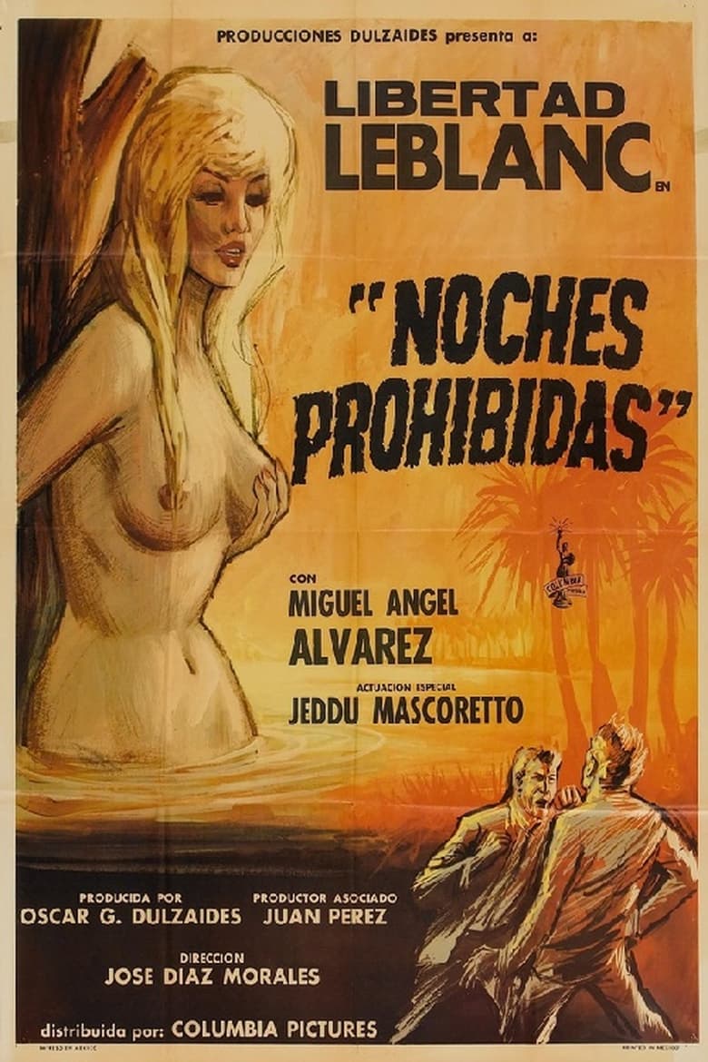 Poster of Noches prohibidas