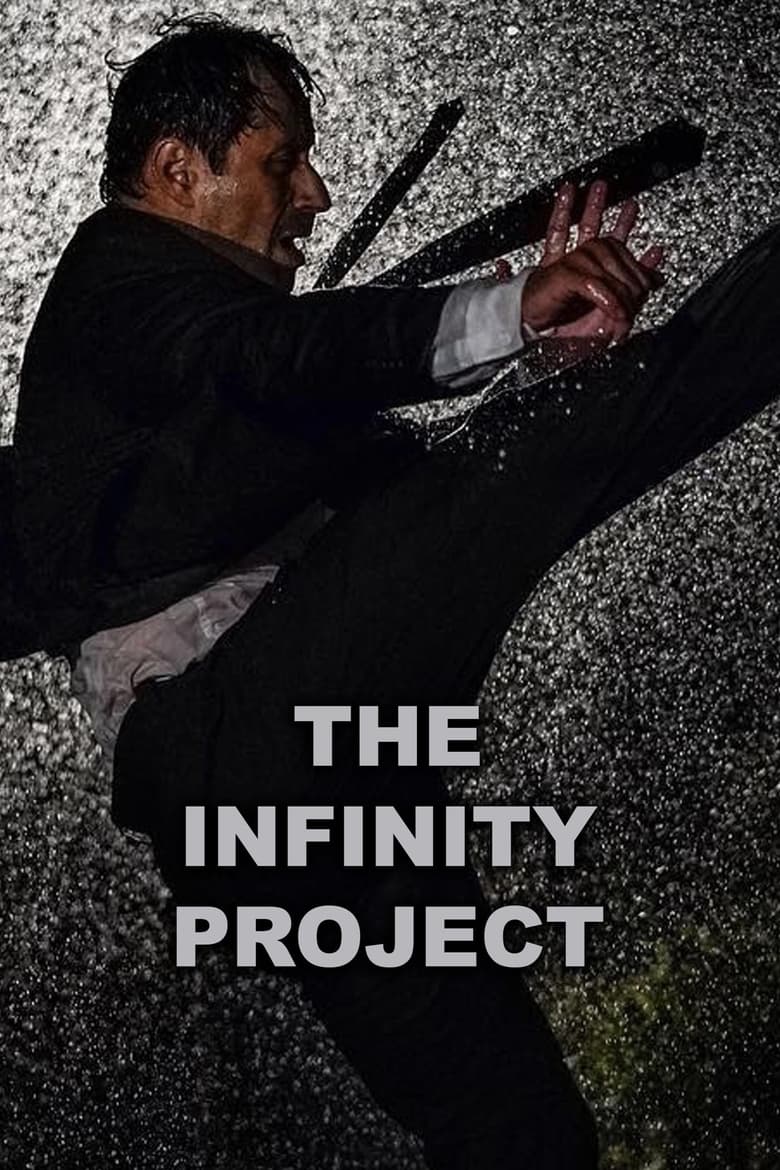 Poster of The Infinity Project