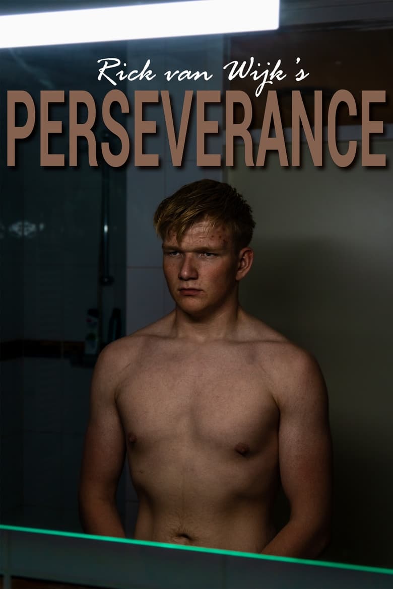 Poster of Perseverance