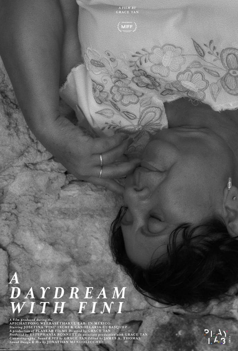 Poster of A Daydream With Fini