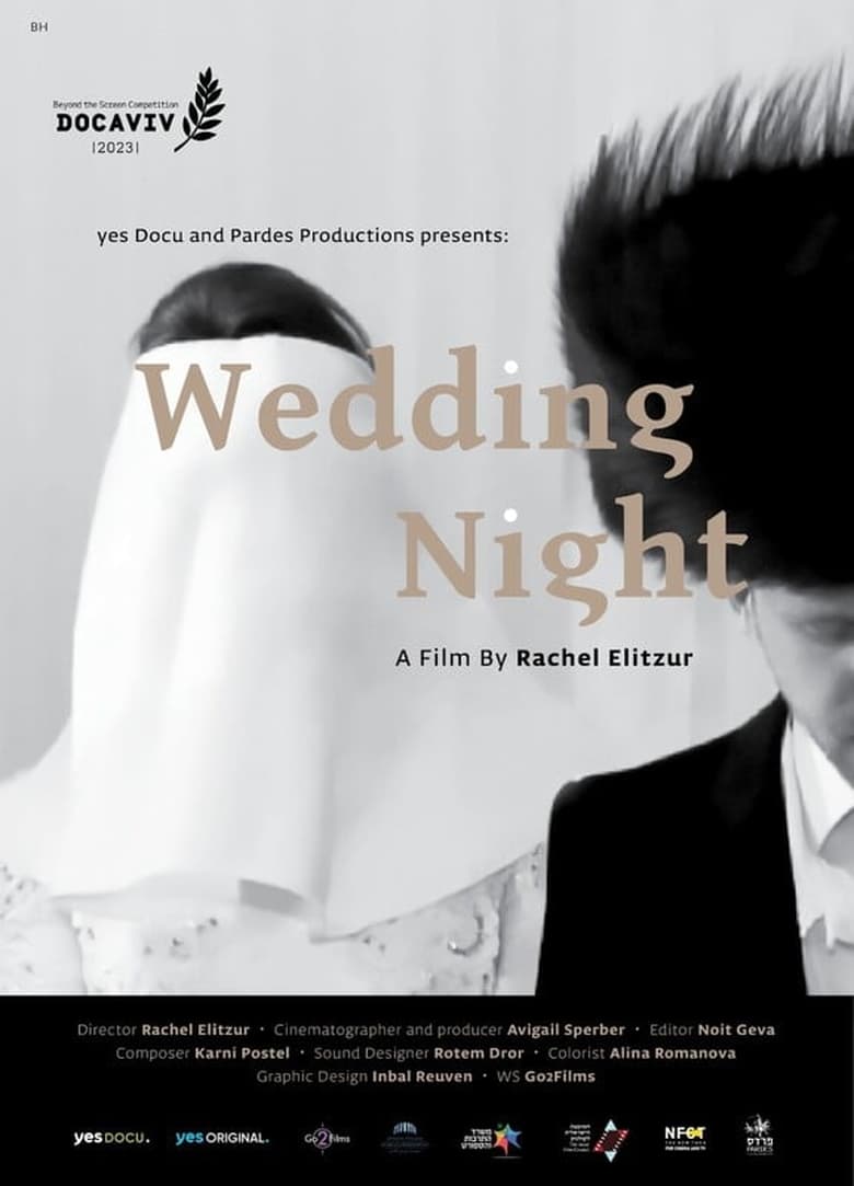 Poster of Wedding Night