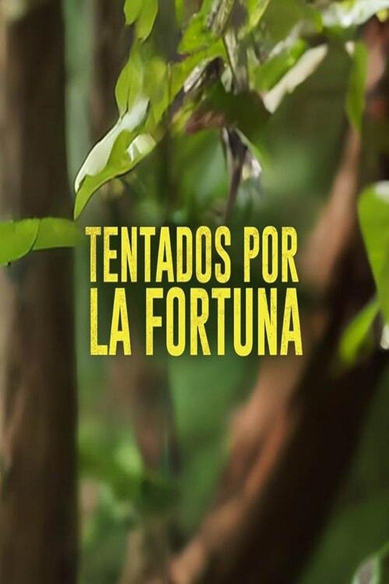 Poster of Tentados por la Fortuna