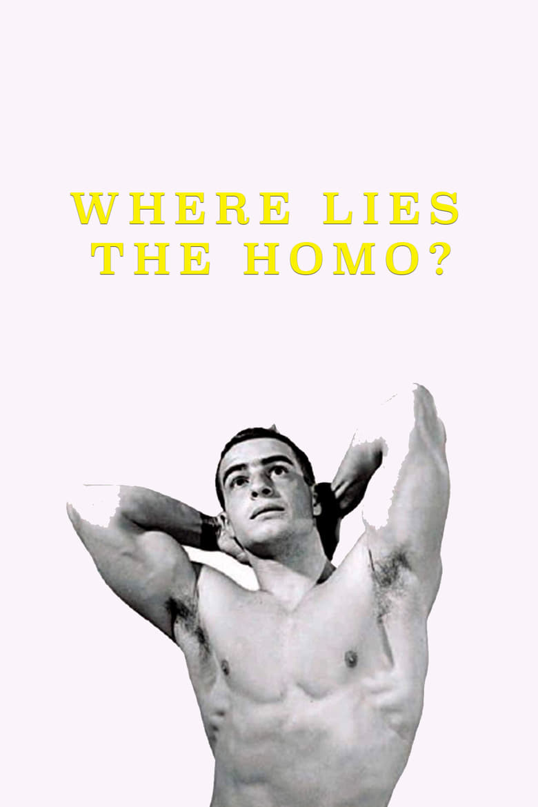 Poster of Where Lies the Homo?