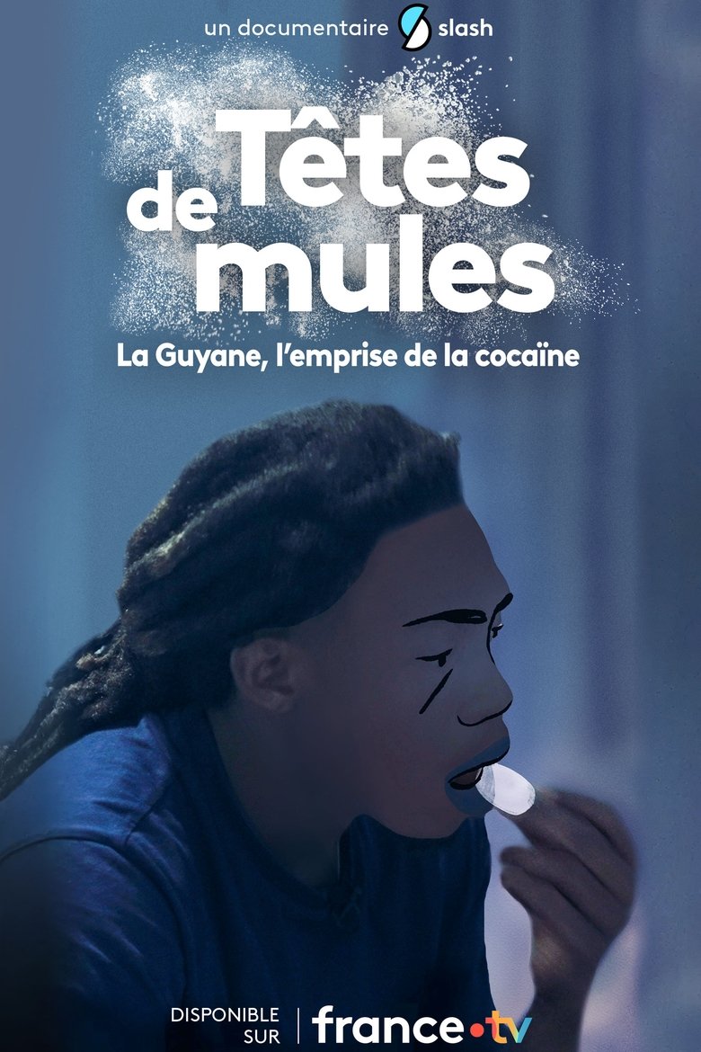 Poster of Têtes de mules : La Guyane, l'emprise de la cocaïne